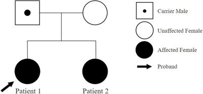 Case Report: Intellectual disability and borderline intellectual functioning in two sisters with a 12p11.22 loss